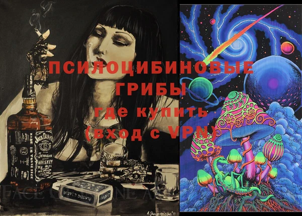 хмурый Арсеньев