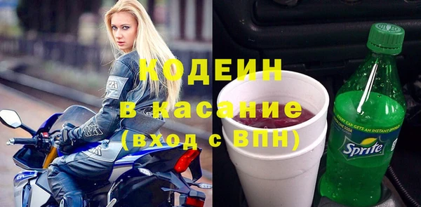 хмурый Арсеньев