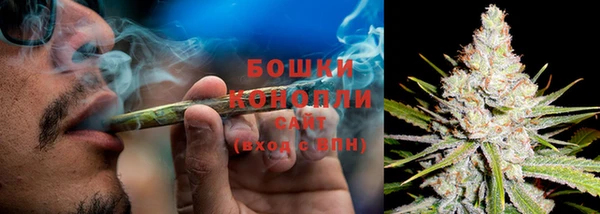 хмурый Арсеньев