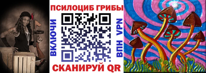 мега вход  Коломна  Галлюциногенные грибы Psilocybe 