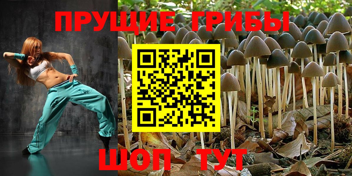 Галлюциногенные грибы Psilocybe  Вход с VPN  Галлюциногенные грибы Psilocybe  Коломна 